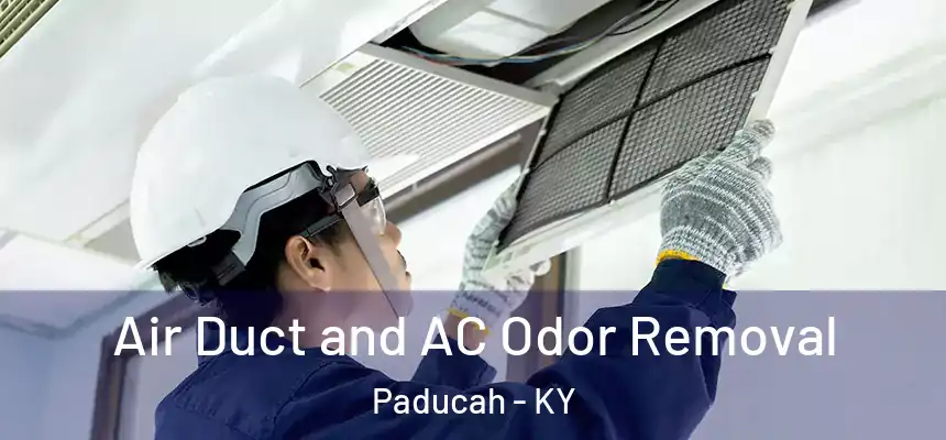  Air Duct and AC Odor Removal Paducah - KY