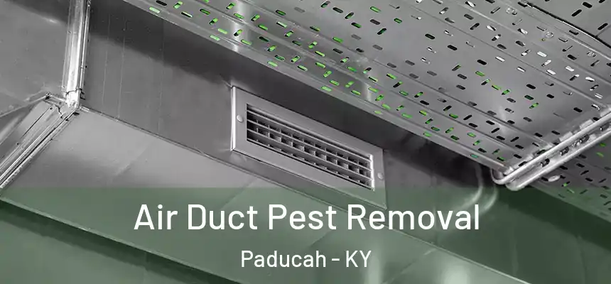  Air Duct Pest Removal Paducah - KY