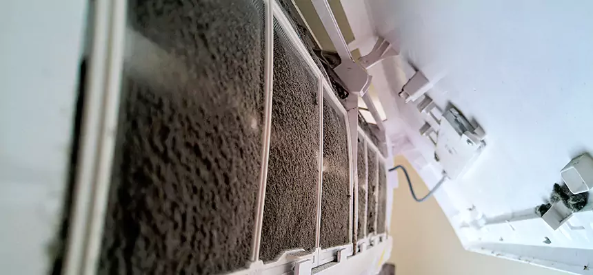 Preventive Air Duct Bacteria Removal in Paducah