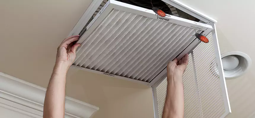 Preventive Cockroach-Proofing for Ducts in Paducah