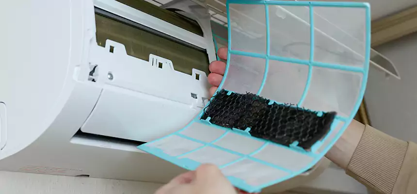 Gentle Ductwork Odor-Control Pet Dander Duct Cleaning in Paducah, KY