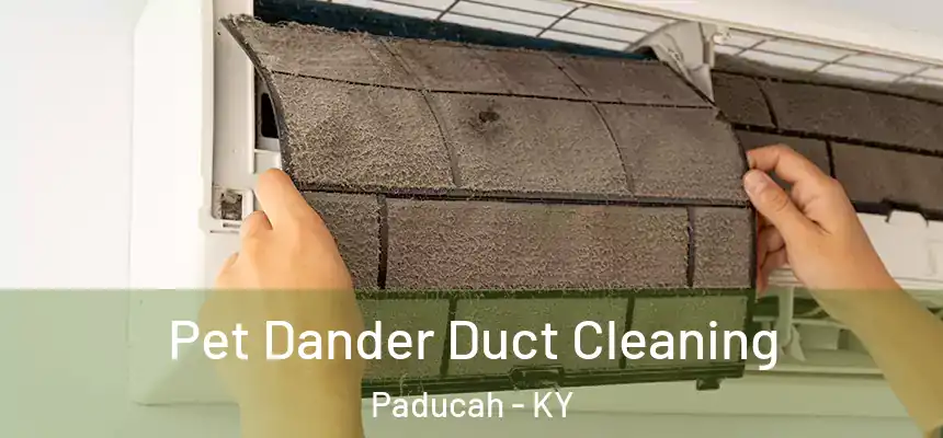  Pet Dander Duct Cleaning Paducah - KY