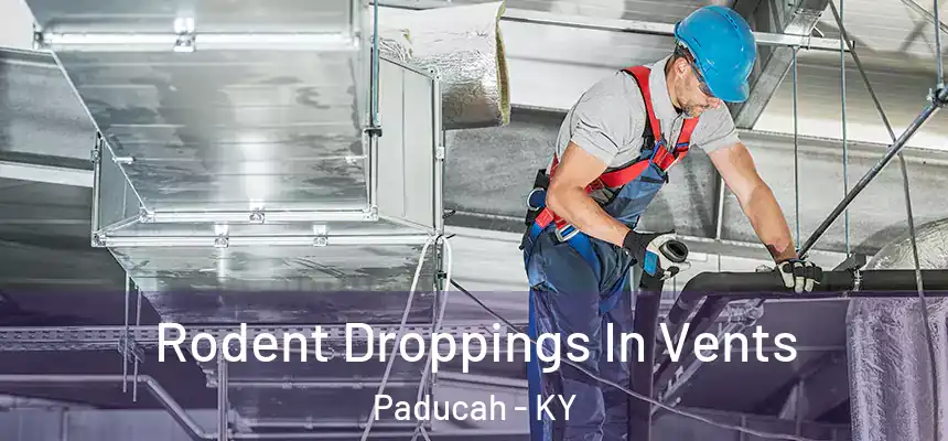  Rodent Droppings In Vents Paducah - KY