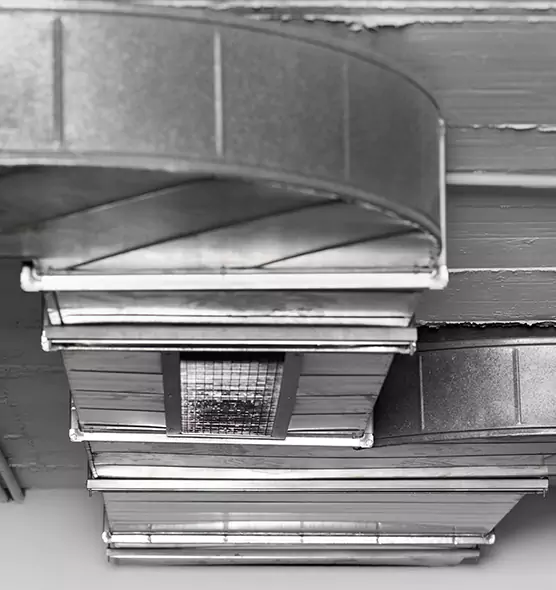 Professional Air Duct Pest Removal in Paducah, KY