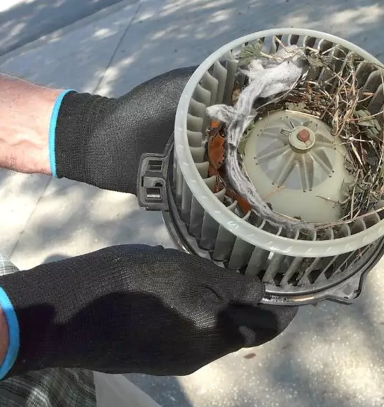 About Air Duct Rat Removal in Paducah, KY