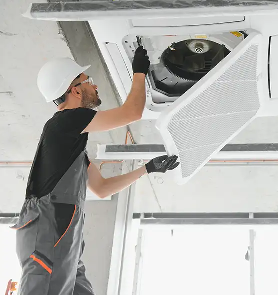 About Air Duct Rodent Removal in Paducah, KY