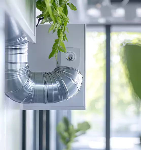 Professional Eco-Safe Dryer Vent Cleaning in Paducah, KY