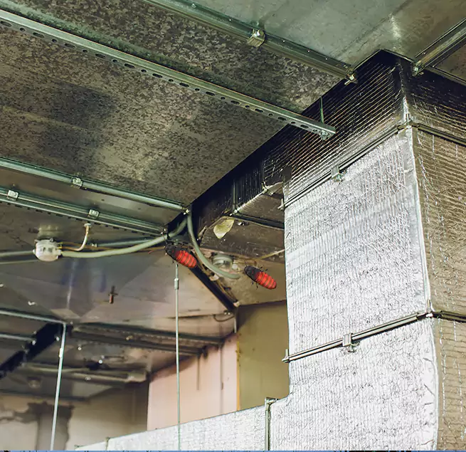 Why Homeowners & Businesses Trust Us in Paducah, KY?