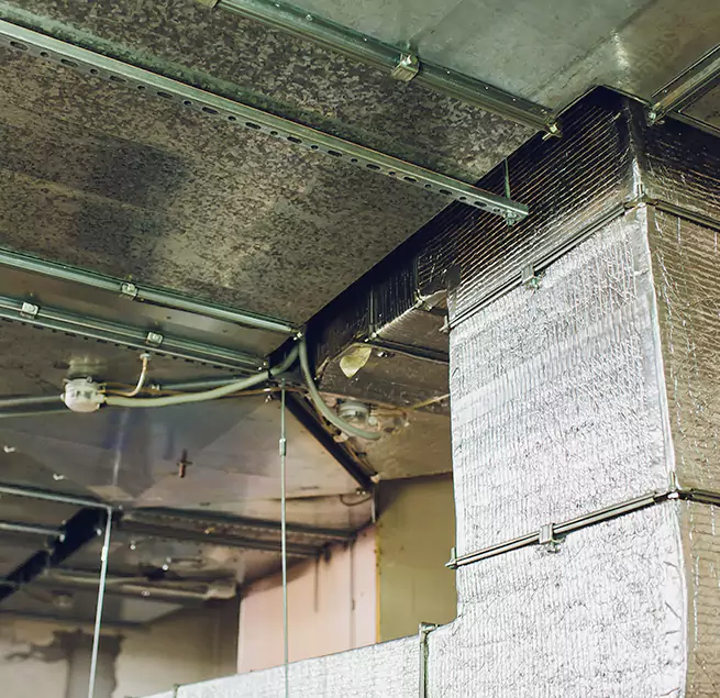 Why Homeowners & Businesses Trust Us in Paducah, KY?