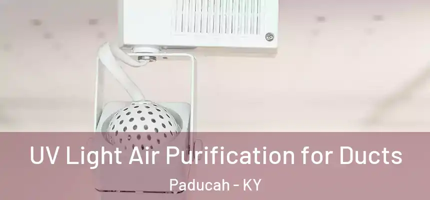  UV Light Air Purification for Ducts Paducah - KY
